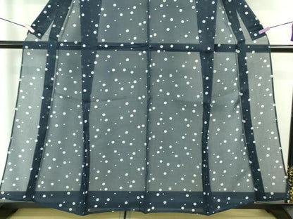 平和屋着物■極上　夏物　江戸小紋　浴衣兼用　絹紅梅　丸文　反端付き　逸品　DZAA6929kh5