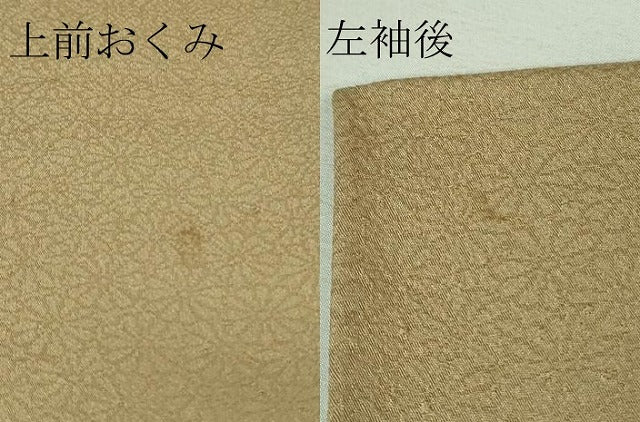 平和屋着物■極上　洗える最高級着物　＜英＞はなぶさ謹製　色無地　単衣　菊地紋　枯色　逸品　DZAA7148kh5