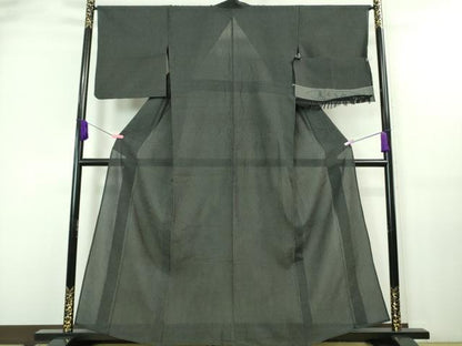 平和屋着物＊極上 夏物 お召 夏ちぢみ 蚊絣 黒地 反端付き 逸品 DZAA7629kh5