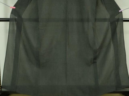 平和屋着物＊極上 夏物 お召 夏ちぢみ 蚊絣 黒地 反端付き 逸品 DZAA7629kh5