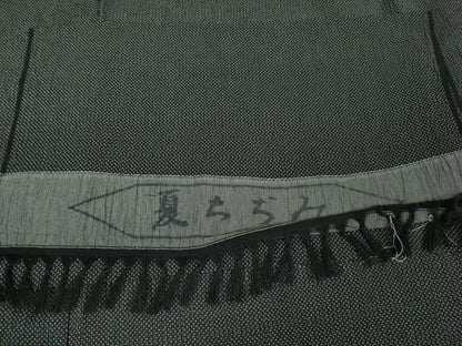 平和屋着物＊極上 夏物 お召 夏ちぢみ 蚊絣 黒地 反端付き 逸品 DZAA7629kh5