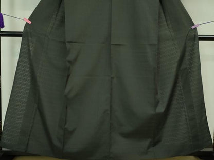 平和屋着物＊極上 夏物 夏お召 もじり織 雅すかし 豊渡工房謹製 黒地 証紙付き 逸品 未使用 DZAA7632kh5