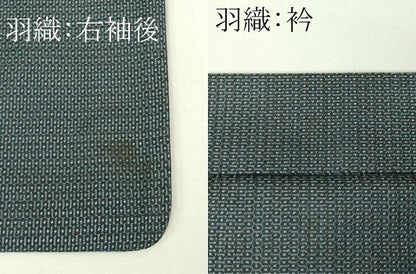 平和屋着物■極上 男性 本場大島紬 アンサンブル 長羽織 100亀甲 総詰め 逸品 DZAA7859kh5