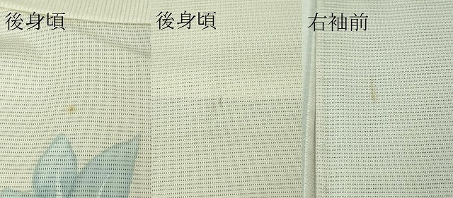 平和屋着物■極上　夏物　訪問着　絽　手描き　鉄線花　枝花文　逸品　DZAA7870kh5
