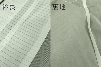 平和屋着物▽極上 訪問着 無双 紗袷 紗×紗 雪輪花文 黒地 逸品 DZAA7871kh5