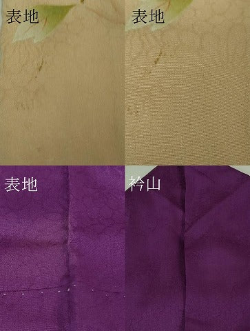 平和屋着物■極上　アンティーク　大正ロマン　振袖　牡丹　菊　暈し染め　逸品　DZAA8129kh5