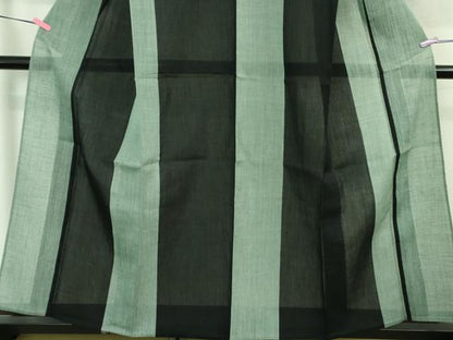 平和屋着物＊極上 夏物 本場小千谷ちぢみ 麻衣 間道 反端付き 逸品 DZAA8368kh5