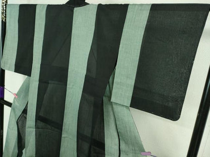 平和屋着物＊極上 夏物 本場小千谷ちぢみ 麻衣 間道 反端付き 逸品 DZAA8368kh5