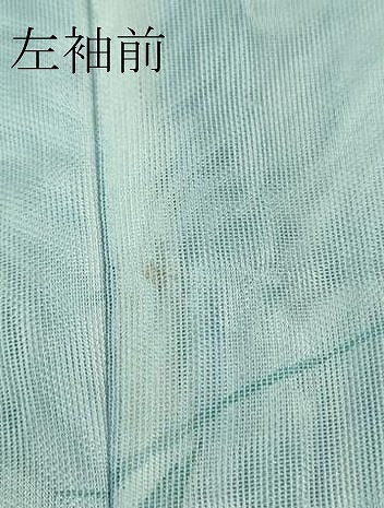 平和屋着物▽極上 訪問着 無双 紗袷 紗×紗 螺鈿 枝葉文 暈し染め 金彩 逸品 未使用 DZAA8378kh5