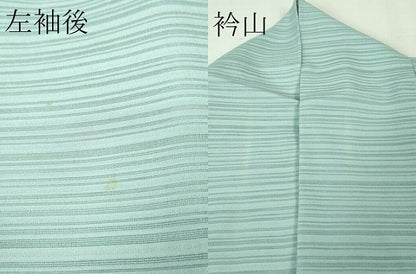 平和屋着物＊極上 夏物 訪問着 変わり絽 芒 すすき 空色地 銀彩 逸品 DZAA8381kh5