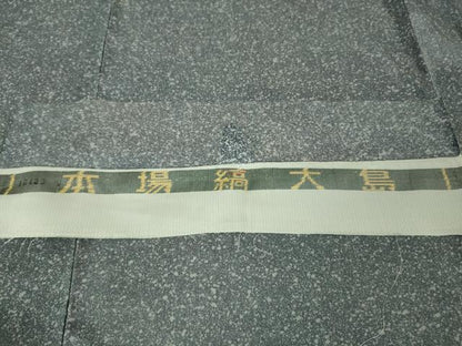 平和屋着物●極上　男性　本場縞大島紬　染大島　キングサイズ　反端付き　逸品　未使用　DZAA8393kh5