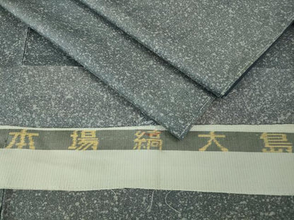 平和屋着物●極上　男性　本場縞大島紬　染大島　キングサイズ　反端付き　逸品　未使用　DZAA8393kh5