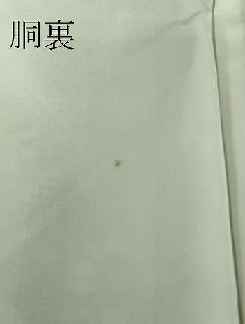 平和屋着物■希少　本場大島紬　龍郷絣　武島トヨ子作　証紙付き　逸品　未使用　DZAA8483kh5