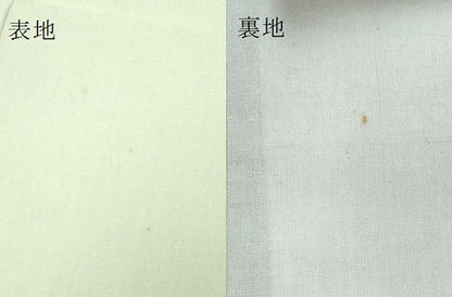 平和屋着物●極上 太鼓柄袋帯 スリーシーズン帯 紬地 玉蟲 洋花文 金彩 逸品 DZAA8576kh5