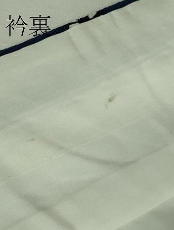 平和屋本店■極上　浦野理一　型染　小紋　鶴亀　紺青色地　鬼しぼ縮緬　逸品　DZAA8908kh5