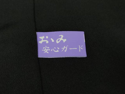 平和屋着物●極上　創業140年　小糸染芸の四代目　小糸敏　小紋　背抜き仕立て　間道　黒地　逸品　DZAA9070kh5