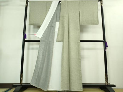 平和屋着物＊極上 夏物 江戸小紋 両面染 霞紋紗 行儀 逸品 DZAA9083kh5