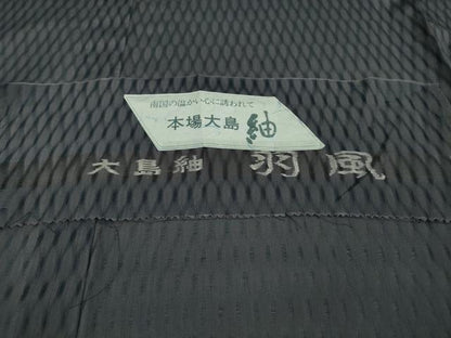 平和屋着物＊極上 夏物 本場大島紬 夏大島 羽風 褐色地 証紙付き 逸品 DZAA9127kh5