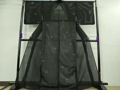 平和屋着物＊極上 夏物 絽芭蕉 小紋 縦絽 蜻蛉 トンボ 黒地 逸品 DZAA9160kh5