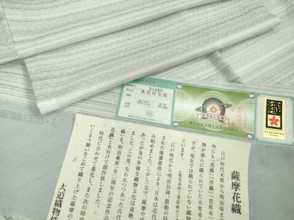 平和屋本店＊極上 夏物 薩摩花織 紬 花織瑠璃ぼかし 大迫織物謹製 証紙付き 逸品 新品 DZAA9179kh5