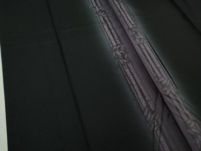 平和屋着物＊極上 夏物 紗紬 笹竹間道 黒地 逸品 DZAA9219kh5