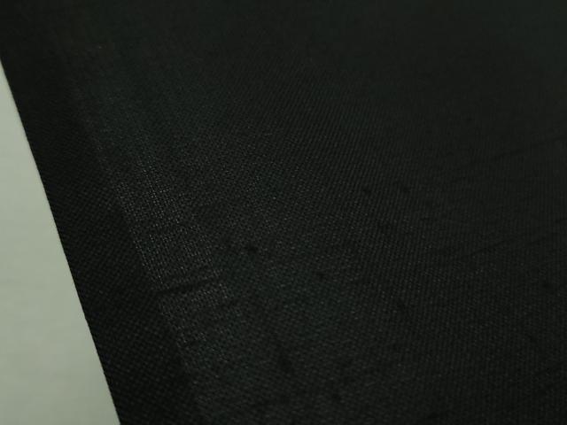 平和屋着物＊極上 夏物 紗紬 笹竹間道 黒地 逸品 DZAA9219kh5