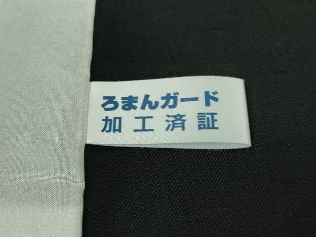 平和屋着物＊極上 夏物 紗紬 笹竹間道 黒地 逸品 DZAA9219kh5