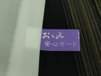 平和屋着物＊極上 夏物 紗紬 間道 黒地 逸品 DZAA9393kh5