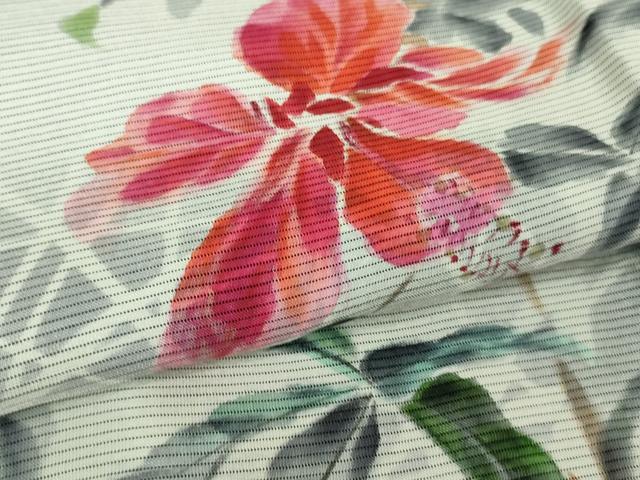 平和屋着物▽極上 訪問着 無双 紗袷 紗×絽 手描き ハイビスカス 黒地 逸品 DZAA9400kh5