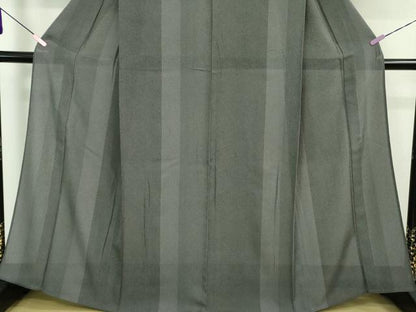 平和屋着物＊極上 夏物 江戸小紋 縦絽 鮫小紋柄 間道 黒地 逸品 DZAA9416kh5