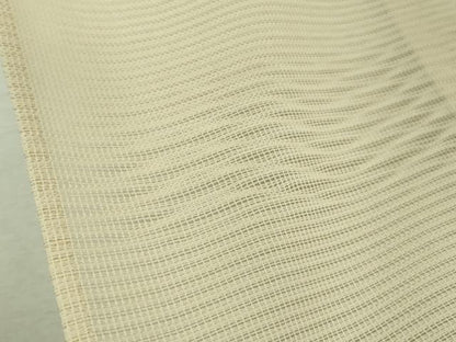 平和屋着物＊極上 夏物 訪問着 絽 菊染 雪輪 暈し染め 砂色地 逸品 DZAA9445kh5