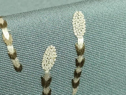 平和屋着物●極上 中国三大刺繍 相良刺繍 総刺繍 太鼓柄袋帯 子犬 逸品 DZAA9513kh5