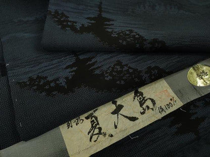 平和屋着物＊極上　夏物　本場大島紬　夏大島　名所風景文　証紙付き　逸品　未使用　DZAA9627kh5
