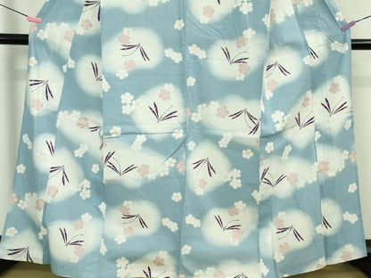 平和屋着物∴極上 夏物 撫松庵 浴衣 綿 蜻蛉 舞花 暈し染め 洗える着物 逸品 DZAA9629kh5