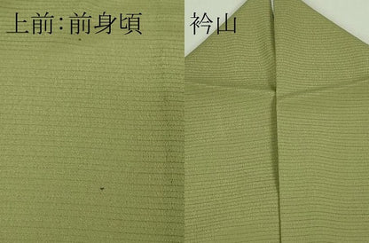 平和屋着物＊極上 夏物 洗える最高級着物 ＜英＞はなぶさ謹製 色無地 絽縮緬 若芽色 逸品 DZAA9646kh5