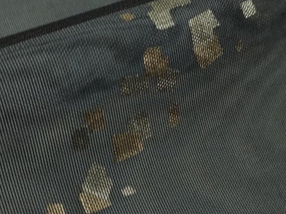 平和屋着物▽極上 訪問着 無双 紗袷 紗×紗 箔散らし 暈し染め 金銀彩 逸品 未使用 DZAA9655kh5