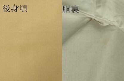 平和屋着物●極上　セミアンティーク　訪問着　鳥兜　舞楽　淡香色地　金彩　逸品　DZAA9683kh5