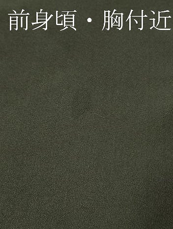 平和屋本店■極上　銀座　志ま亀　訪問着　花菱　蝉色地　たとう紙付き　逸品　DZAA9687kh5