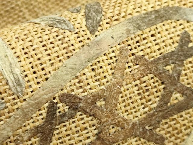 平和屋本店＊極上 夏物 科布 蓑虫工芸作家 田尾笛秋 八寸名古屋帯 流水鴛鴦 逸品 DZAA9700kh5