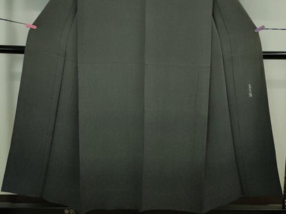 平和屋着物▽極上 江戸小紋 訪問着 単衣 蜃気楼 鮫小紋柄 縞 暈し染め 逸品 未使用 DZAA9833kh5
