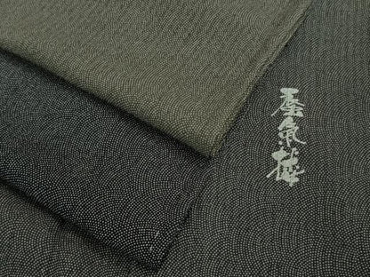 平和屋着物▽極上 江戸小紋 訪問着 単衣 蜃気楼 鮫小紋柄 縞 暈し染め 逸品 未使用 DZAA9833kh5