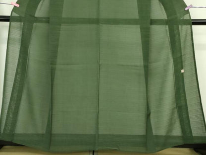平和屋着物＊極上 夏物 本塩沢 夏塩沢 作家物 変わり絽 緑青色 反端付き 逸品 未使用 DZAA9847kh5