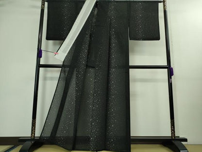 平和屋本店＊極上 夏物 本場大島紬 夏大島 丸文 黒地 逸品 DZAA9904kh5