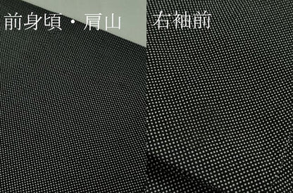 平和屋着物＊極上 夏物 小紋師 黒岩秀硯 江戸小紋 絽 行儀 黒×白 逸品 DZAA9989kh5
