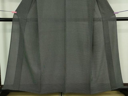 平和屋着物＊極上 夏物 小紋師 黒岩秀硯 江戸小紋 絽 行儀 黒×白 逸品 DZAA9989kh5