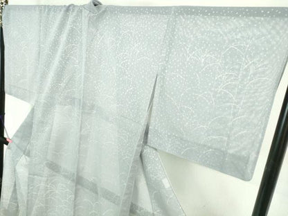 平和屋着物＊極上 夏物 訪問着 紗 芒 スモークブルー色地 逸品 DZAB0612kh5