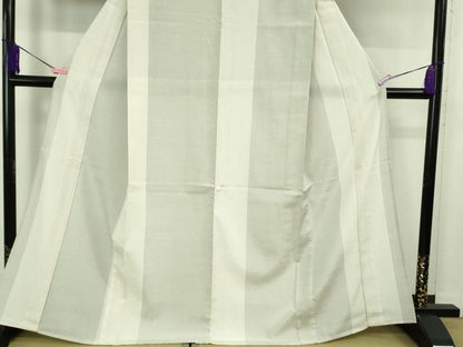 平和屋本店▽極上 本塩沢 単衣 110亀甲 間道 逸品 未使用 DZAB0621kh5