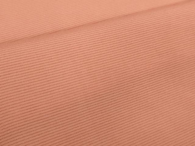 平和屋着物■極上　夏物　色無地　絽　珊瑚朱色　大丸扱い　逸品　DZAB1004kh5