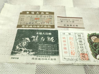 平和屋本店■極上　都喜ヱ門　本場大島紬　白大島　藤白泥　想い出の旅　藤絹織物謹製　証紙付き　逸品　未使用　DZAB1101kh5