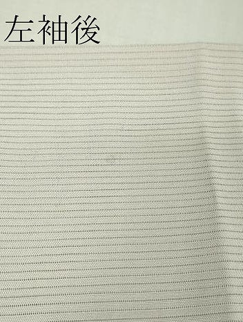 平和屋着物＊極上 夏物 訪問着 友禅 絽 色紙花文 薄桜色地 暈し染め 逸品 DZAB1132kh5